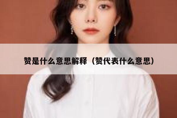 赞是什么意思解释(赞代表什么意思) 第1张 赞是什么意思解释(赞代表什么意思) 第1张