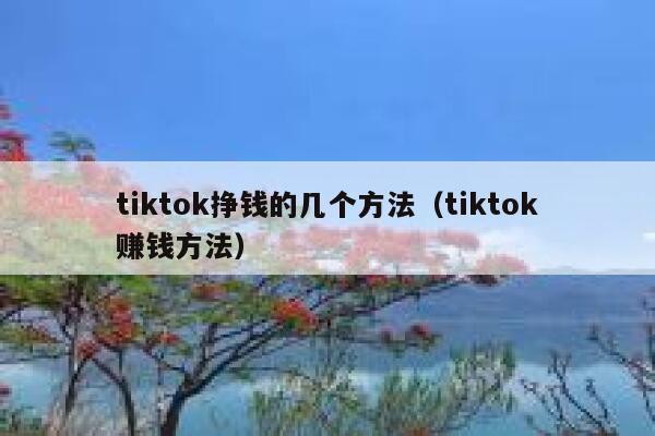 tiktok挣钱的几个方法(tiktok赚钱方法) 第1张 tiktok挣钱的几个方法(tiktok赚钱方法) 第1张