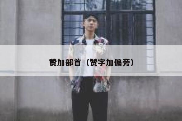 赞加部首(赞字加偏旁) 第1张 赞加部首(赞字加偏旁) 第1张