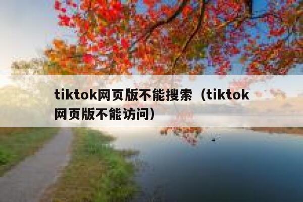 tiktok网页版不能搜索（tiktok网页版不能访问） 第1张