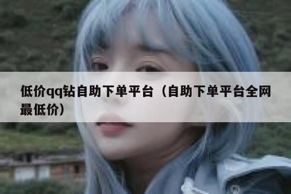 低价qq钻自助下单平台（自助下单平台全网最低价） 第1张