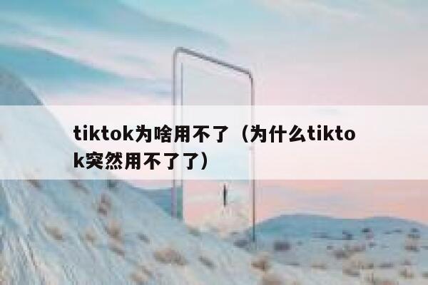 tiktok为啥用不了（为什么tiktok突然用不了了） 第1张