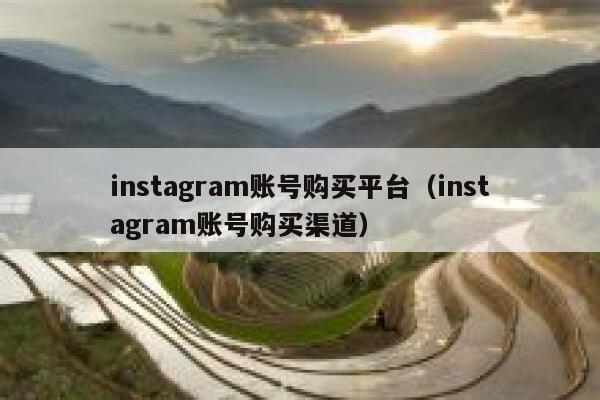 instagram账号购买平台（instagram账号购买渠道） 第1张