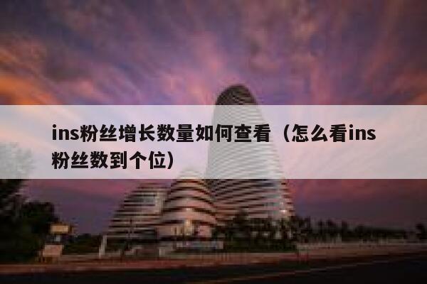 ins粉丝增长数量如何查看（怎么看ins粉丝数到个位） 第1张