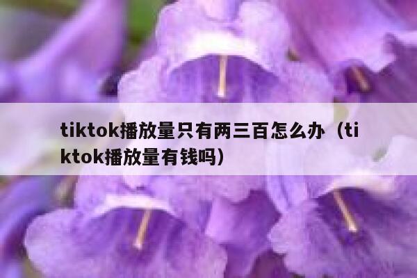 tiktok播放量只有两三百怎么办（tiktok播放量有钱吗） 第1张