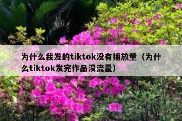 为什么我发的tiktok没有播放量（为什么tiktok发完作品没流量） 第1张
