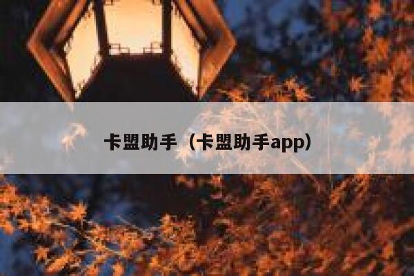 卡盟助手（卡盟助手app） 第1张