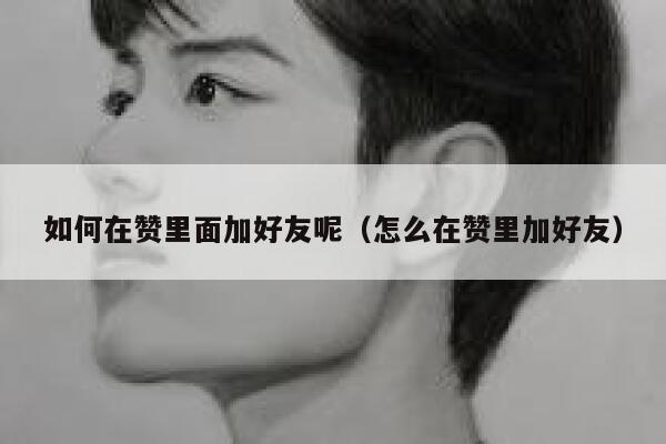 如何在赞里面加好友呢（怎么在赞里加好友） 第1张