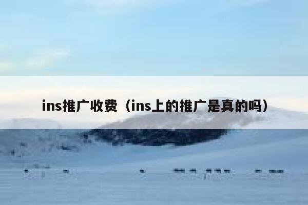 ins推广收费（ins上的推广是真的吗） 第1张