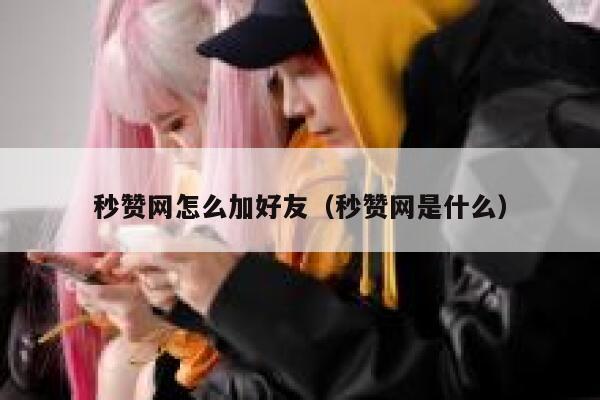 秒赞网怎么加好友（秒赞网是什么） 第1张