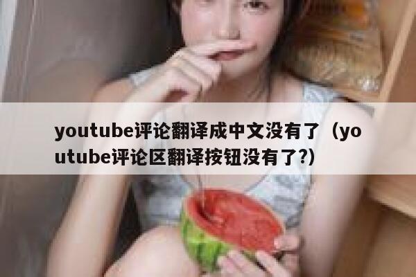 youtube评论翻译成中文没有了(youtube评论区翻译按钮没有了?) 第1张 youtube评论翻译成中文没有了(youtube评论区翻译按钮没有了?) 第1张