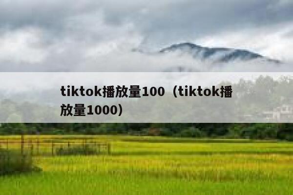 tiktok播放量100（tiktok播放量1000） 第1张