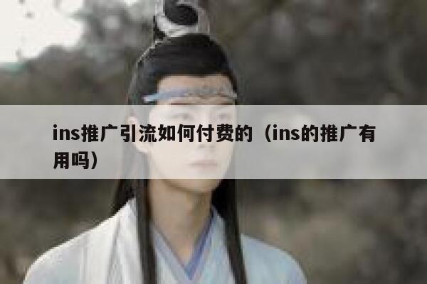 ins推广引流如何付费的（ins的推广有用吗） 第1张