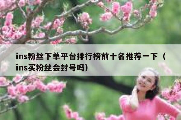 ins粉丝下单平台排行榜前十名推荐一下（ins买粉丝会封号吗） 第1张