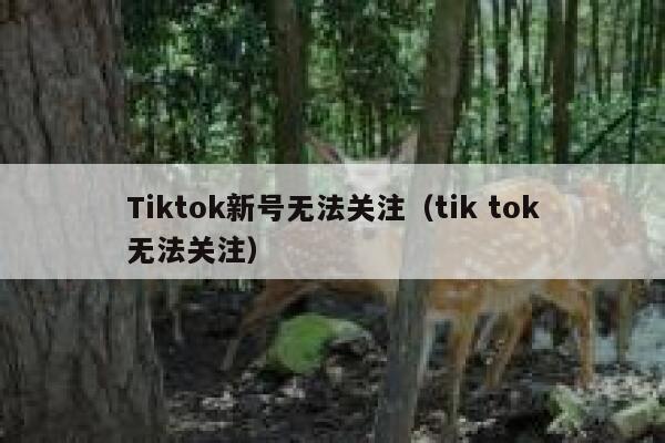 Tiktok新号无法关注(tik tok无法关注) 第1张 Tiktok新号无法关注(tik tok无法关注) 第1张
