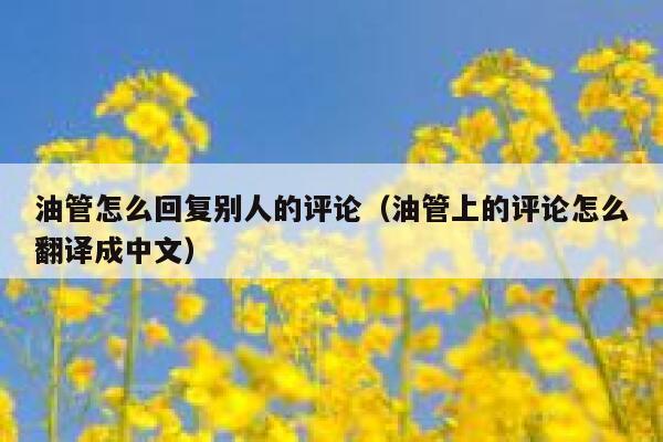 油管怎么回复别人的评论(油管上的评论怎么翻译成中文) 第1张 油管怎么回复别人的评论(油管上的评论怎么翻译成中文) 第1张