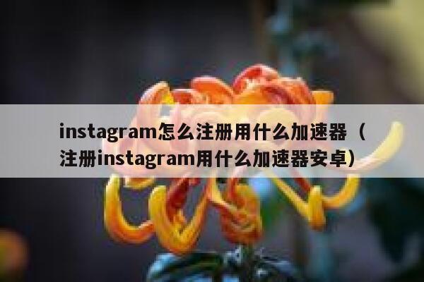 instagram怎么注册用什么加速器(注册instagram用什么加速器安卓) 第1张 instagram怎么注册用什么加速器(注册instagram用什么加速器安卓) 第1张