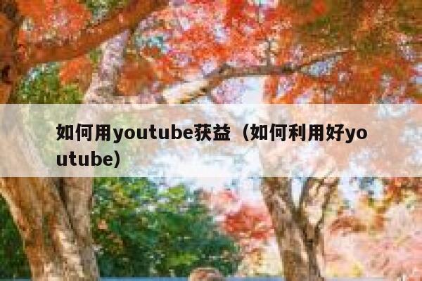 如何用youtube获益(如何利用好youtube) 第1张 如何用youtube获益(如何利用好youtube) 第1张