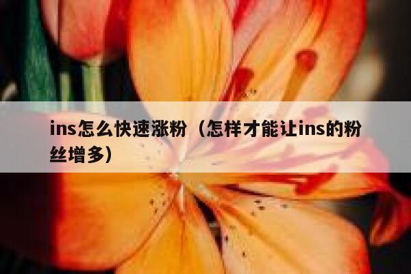 ins怎么快速涨粉（怎样才能让ins的粉丝增多） 第1张