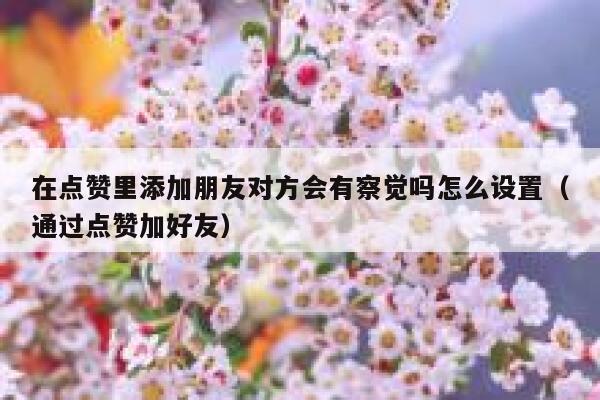 在点赞里添加朋友对方会有察觉吗怎么设置（通过点赞加好友） 第1张