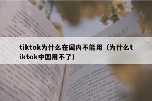 tiktok为什么在国内不能用(为什么tiktok中国用不了) 第1张 tiktok为什么在国内不能用(为什么tiktok中国用不了) 第1张