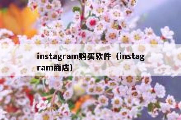 instagram购买软件(instagram商店) 第1张 instagram购买软件(instagram商店) 第1张
