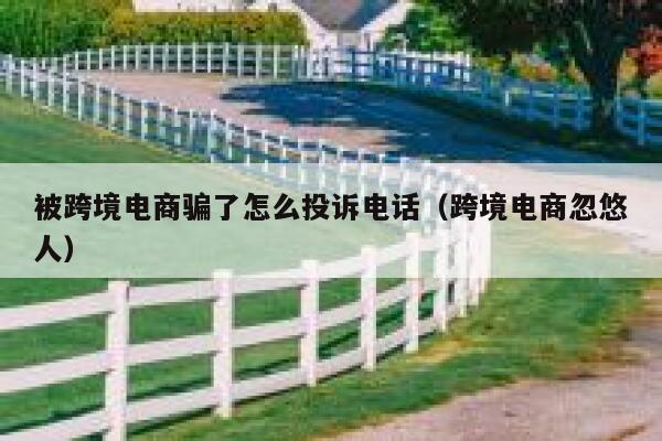 被跨境电商骗了怎么投诉电话(跨境电商忽悠人) 第1张 被跨境电商骗了怎么投诉电话(跨境电商忽悠人) 第1张