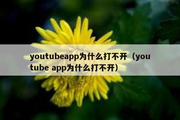 youtubeapp为什么打不开（youtube app为什么打不开） 第1张