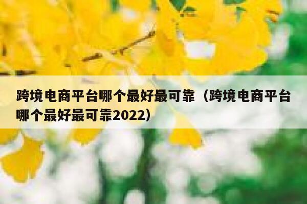 跨境电商平台哪个最好最可靠(跨境电商平台哪个最好最可靠2022) 第1张 跨境电商平台哪个最好最可靠(跨境电商平台哪个最好最可靠2022) 第1张