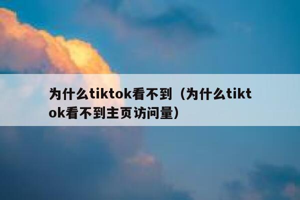 为什么tiktok看不到(为什么tiktok看不到主页访问量) 第1张 为什么tiktok看不到(为什么tiktok看不到主页访问量) 第1张