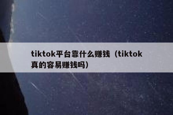 tiktok平台靠什么赚钱（tiktok真的容易赚钱吗） 第1张