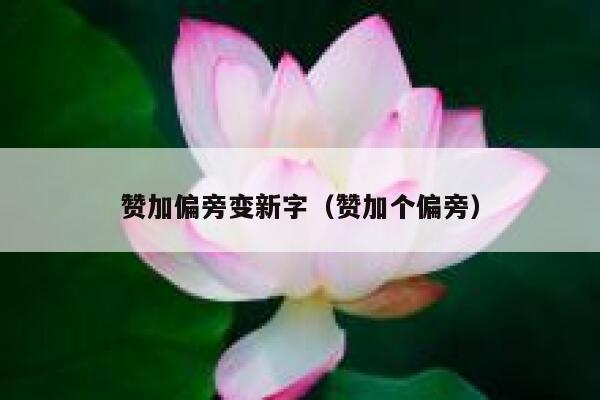 赞加偏旁变新字(赞加个偏旁) 第1张 赞加偏旁变新字(赞加个偏旁) 第1张