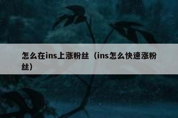 怎么在ins上涨粉丝(ins怎么快速涨粉丝) 第1张 怎么在ins上涨粉丝(ins怎么快速涨粉丝) 第1张