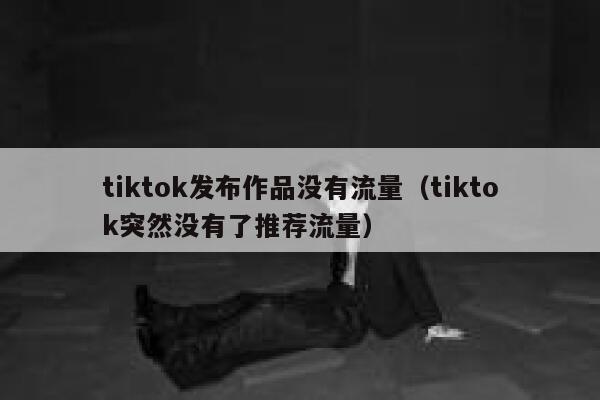 tiktok发布作品没有流量（tiktok突然没有了推荐流量） 第1张