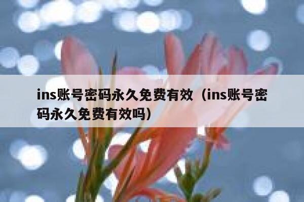 ins账号密码永久免费有效(ins账号密码永久免费有效吗) 第1张 ins账号密码永久免费有效(ins账号密码永久免费有效吗) 第1张