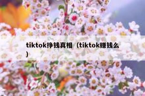 tiktok挣钱真相（tiktok赚钱么） 第1张