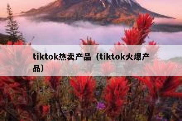 tiktok热卖产品(tiktok火爆产品) 第1张 tiktok热卖产品(tiktok火爆产品) 第1张
