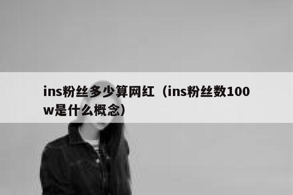 ins粉丝多少算网红（ins粉丝数100w是什么概念） 第1张