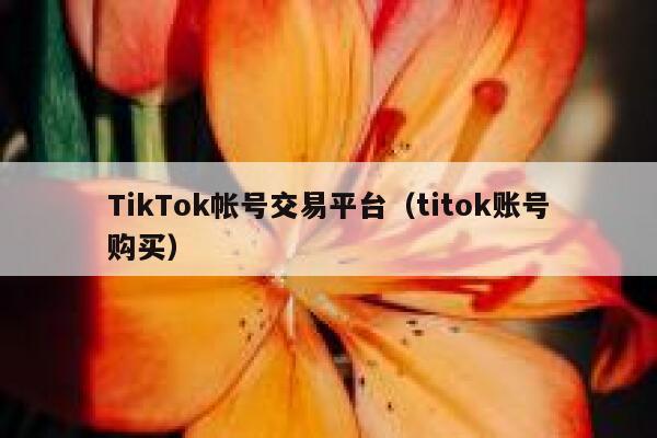 TikTok帐号交易平台（titok账号购买） 第1张