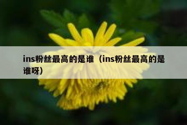 ins粉丝最高的是谁（ins粉丝最高的是谁呀） 第1张