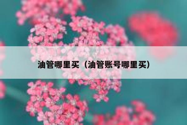 油管哪里买（油管账号哪里买） 第1张