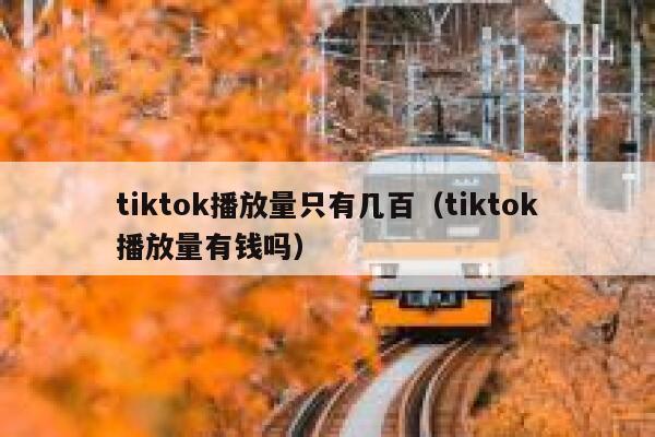 tiktok播放量只有几百（tiktok播放量有钱吗） 第1张