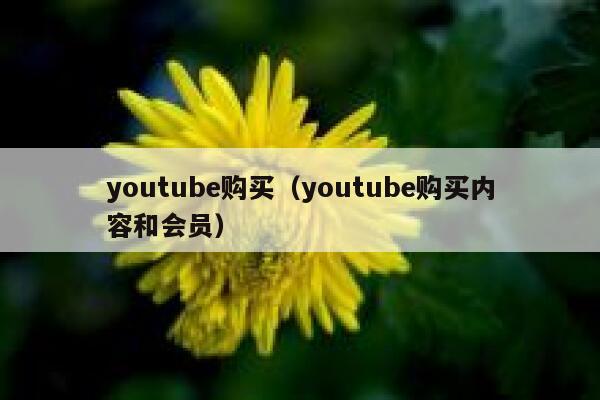 youtube购买（youtube购买内容和会员） 第1张