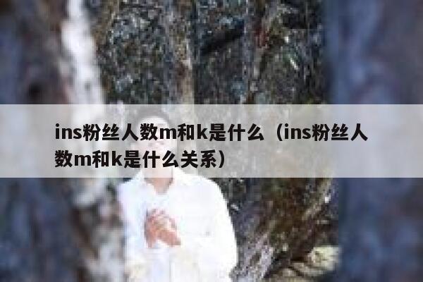 ins粉丝人数m和k是什么（ins粉丝人数m和k是什么关系） 第1张