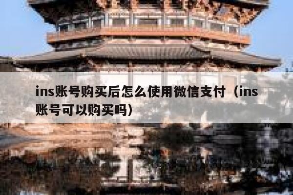 ins账号购买后怎么使用微信支付（ins账号可以购买吗） 第1张