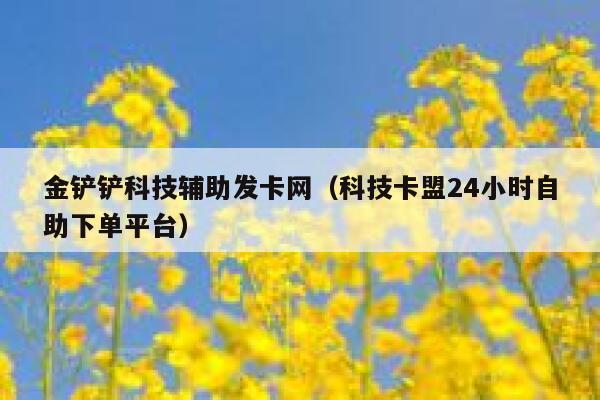 金铲铲科技辅助发卡网（科技卡盟24小时自助下单平台） 第1张