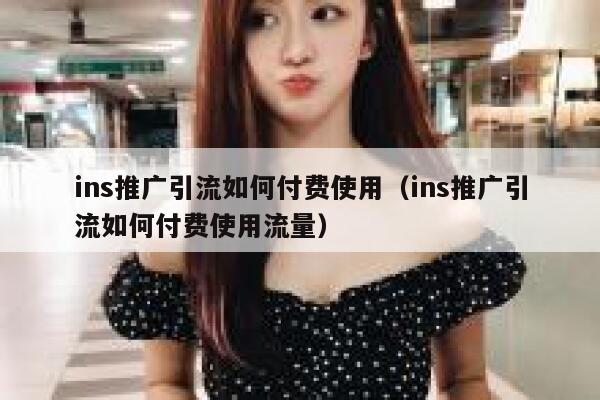 ins推广引流如何付费使用（ins推广引流如何付费使用流量） 第1张
