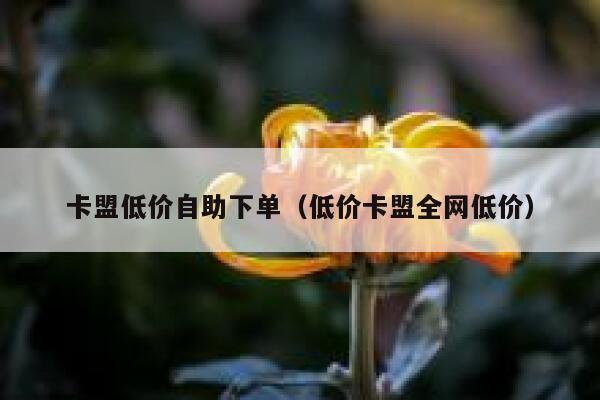 卡盟低价自助下单(低价卡盟全网低价) 第1张 卡盟低价自助下单(低价卡盟全网低价) 第1张