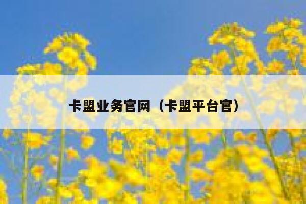 卡盟业务官网(卡盟平台官) 第1张 卡盟业务官网(卡盟平台官) 第1张