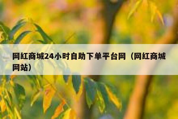 网红商城24小时自助下单平台网(网红商城网站) 第1张 网红商城24小时自助下单平台网(网红商城网站) 第1张